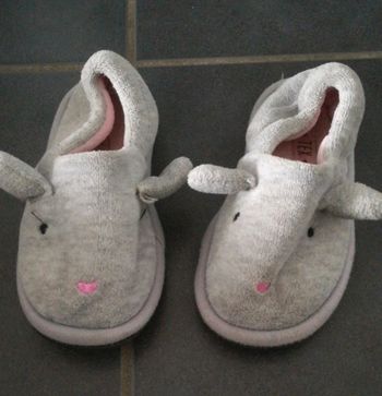 Chausson souris TEX 25