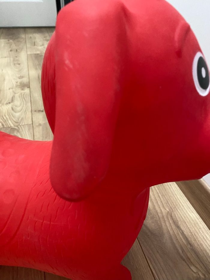 Animal chien sauteur oxybul - photo numéro 5