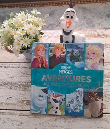 Livre la reine des neiges aventures au pays des glaces