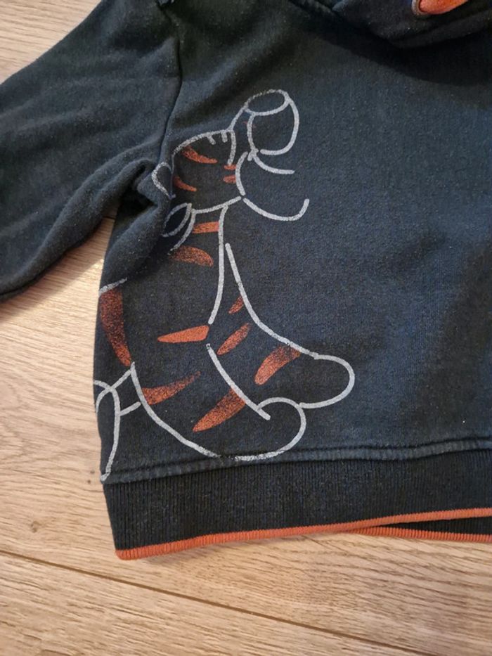 Pull sweat capuche tigrou 3 ans - photo numéro 3