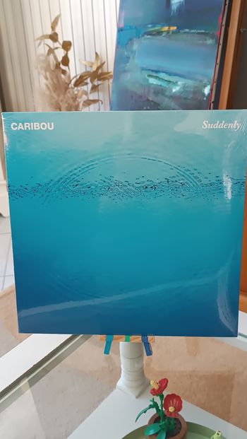 Vinyle Suddenly by Caribou 🫎