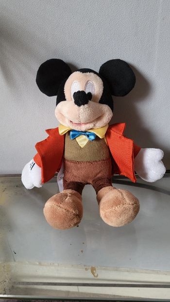 Petit Mickey costume