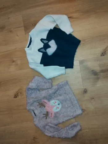 Deux pulls 3ans