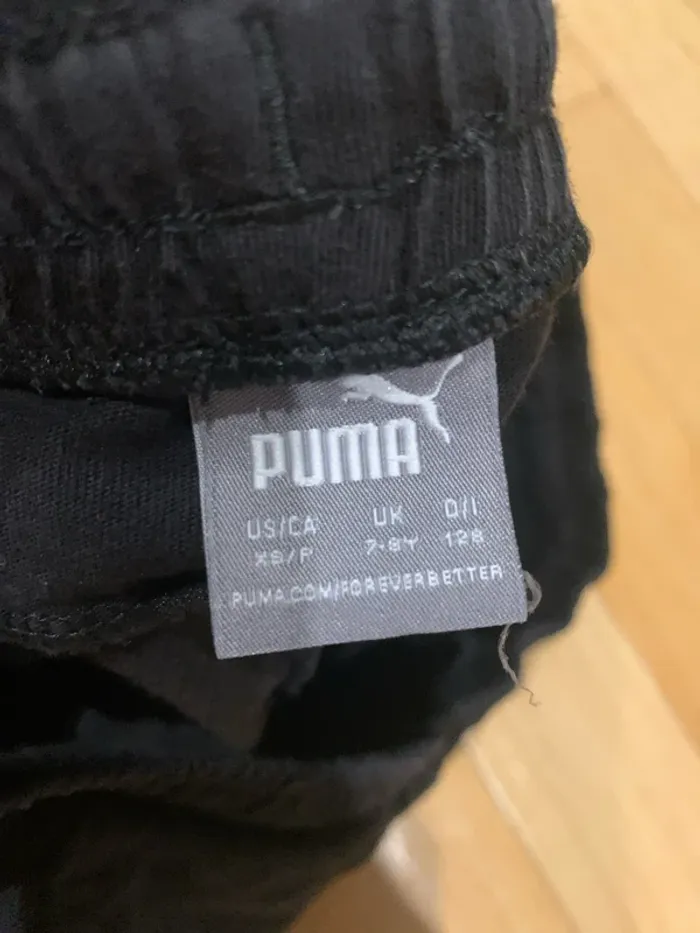 Short puma - photo numéro 4