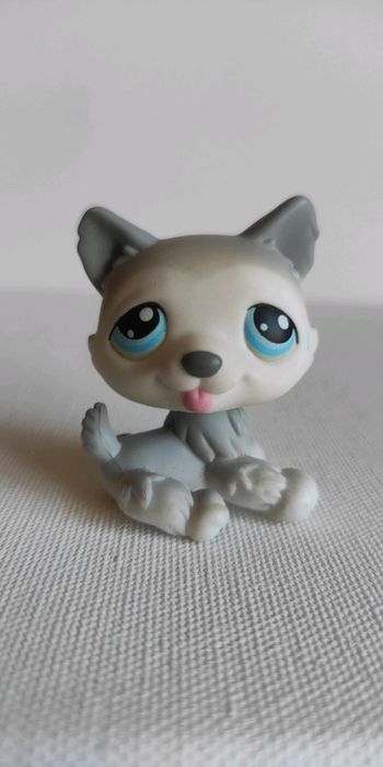 My littlest petshop chien lps husky 70