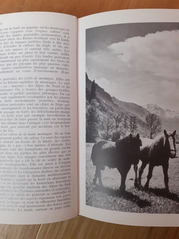 Histoire de la France rurale des origines à 1340 par Georges Betrand - photo numéro 3