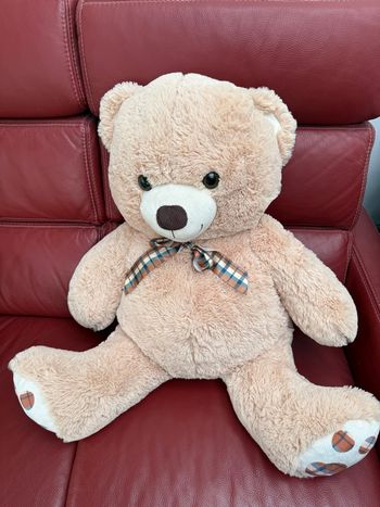 Peluche ours / nounours XXL 