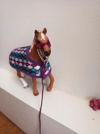 coffret Cheval équestre avec friandises et pomme