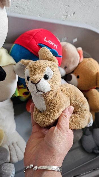 Peluche lapin