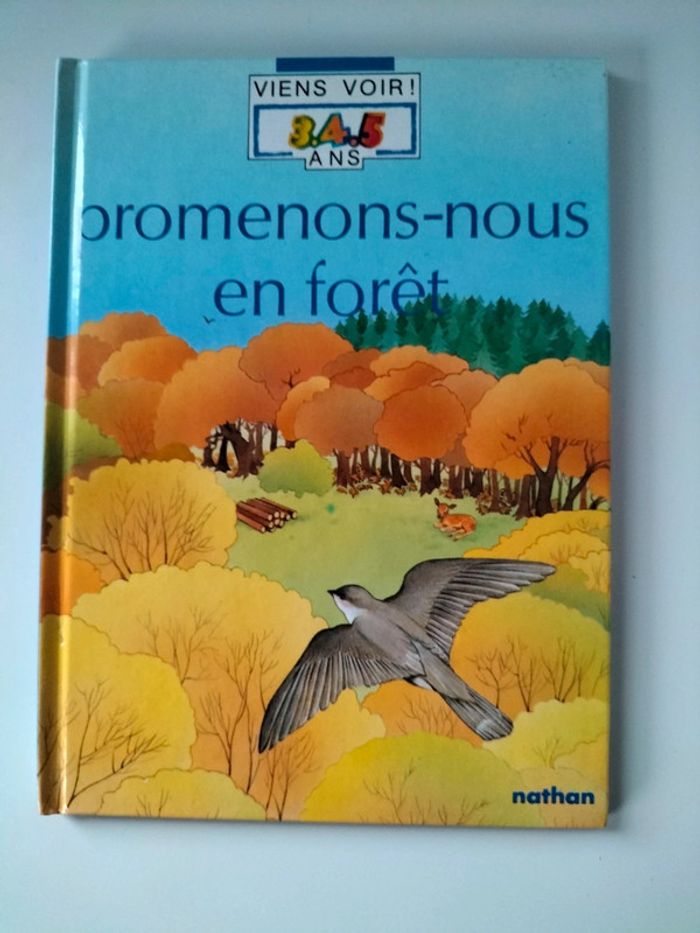 Collection Viens Voir ! 3-4-5 ans Nathan - photo numéro 11