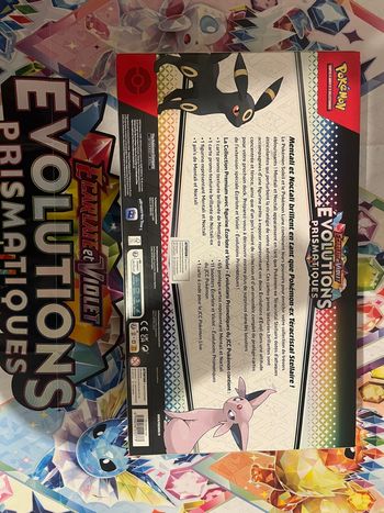 Coffret Figurine 8.5