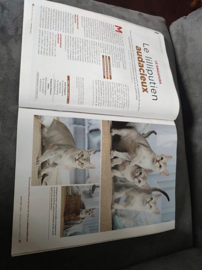 Magazine 30 millions d'amis numéro 391 janvier 2021 - photo numéro 10
