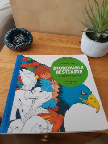 Livre de coloriage Incroyable Bestiaire Harmonie Solar
