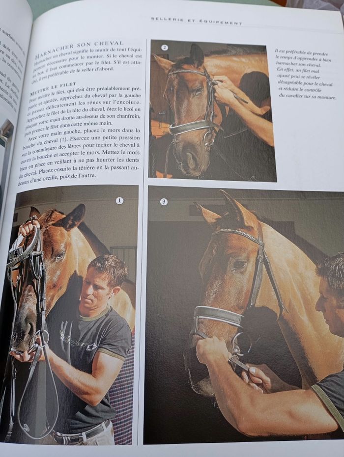 L'équitation le guide complet - photo numéro 2