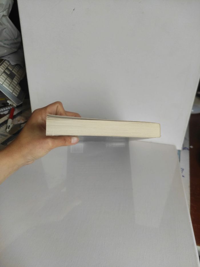 Livre grand format Micah tome 13 de la série anita blake - photo numéro 4