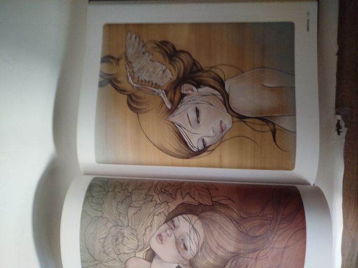 Juxtapoz Erotica - Art book - photo numéro 6