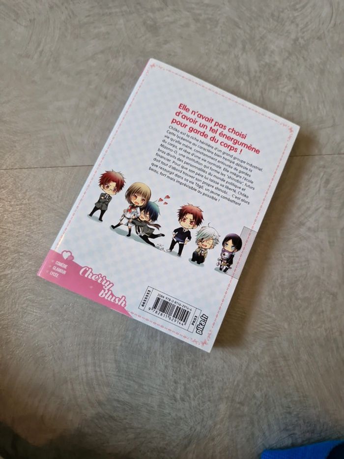 Manga shinobi quartet - photo numéro 3