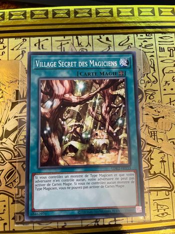 Carte Yu-Gi-Oh! : Village secret des magiciens - LDK2-FRY33