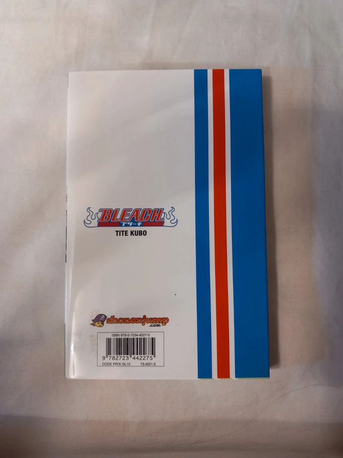 Bleach Tome 1 - photo numéro 2