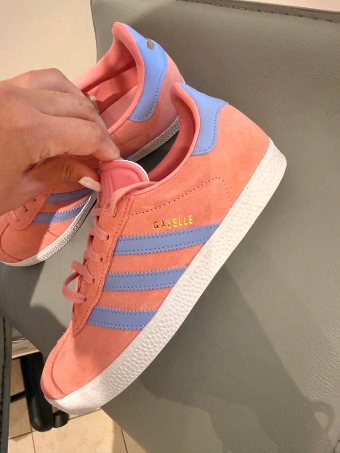 Gazelle - photo numéro 2