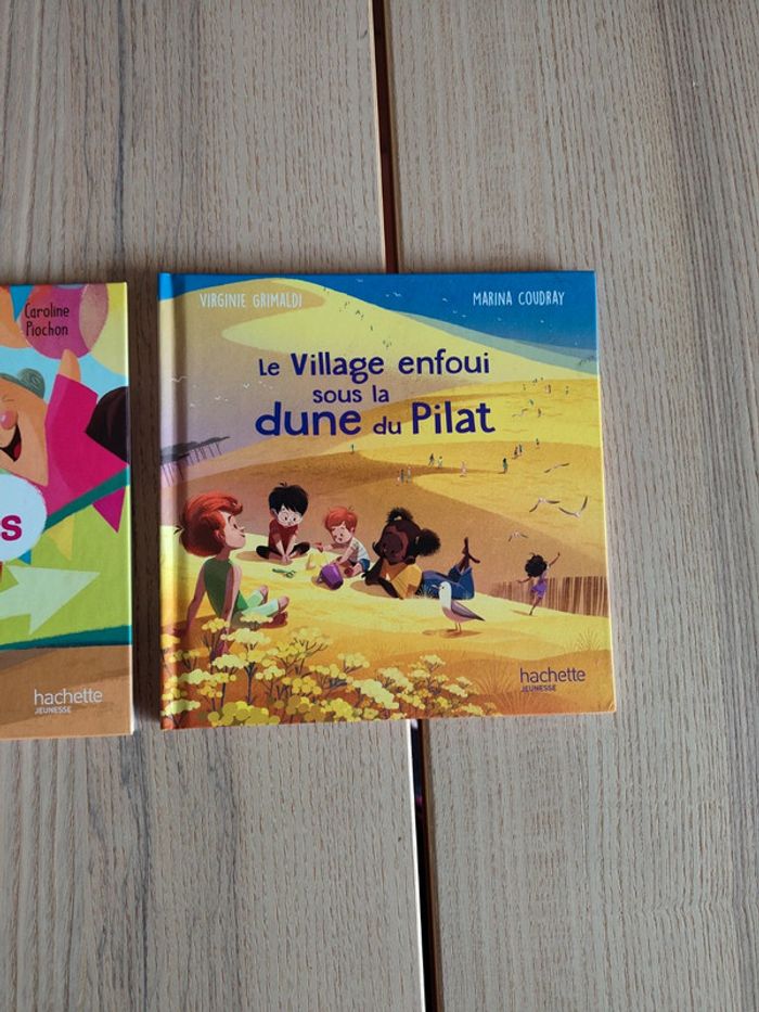 Livre enfant N'y va pas par 4 chemin et le village enfoui sous la dune du Pilat - photo numéro 3