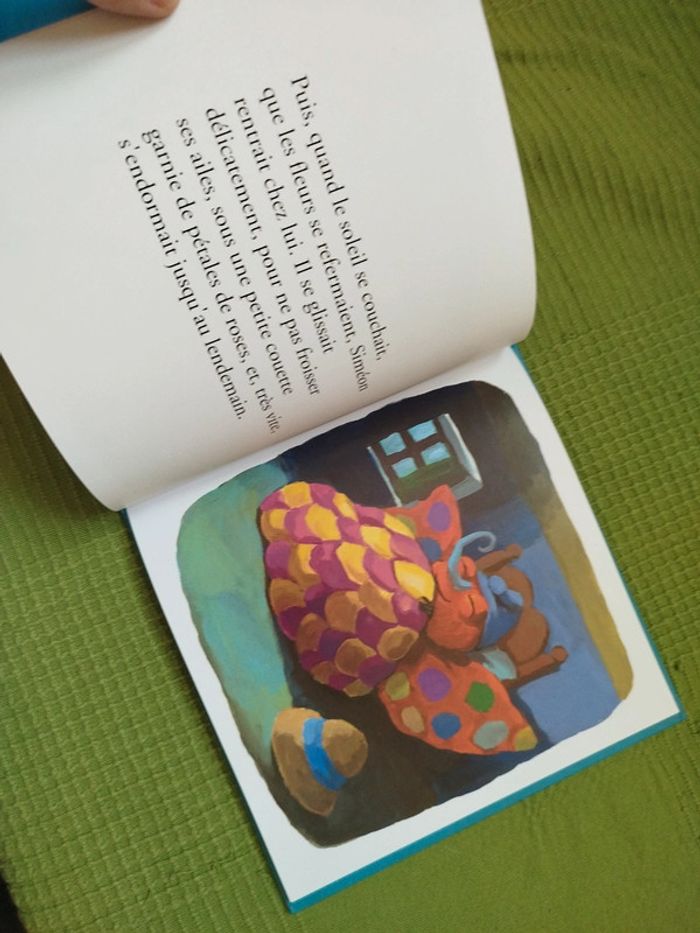 Livre Siméon le Papillon - photo numéro 3