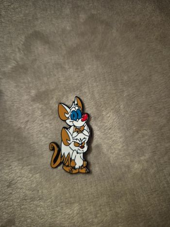 Broche minus et cortex