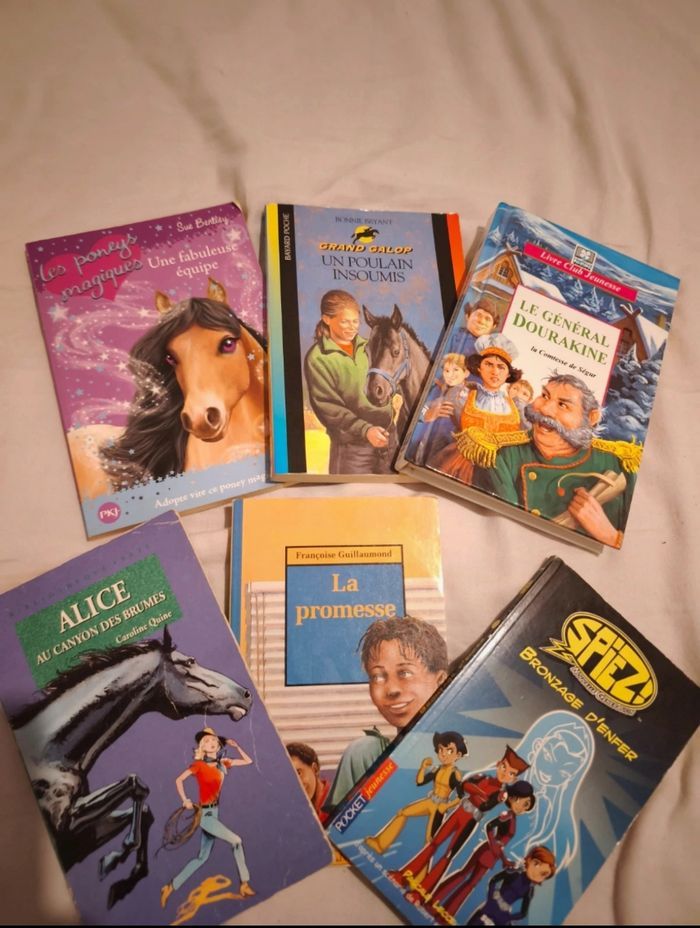Lot livres sur les chevaux et autres enfants ado - photo numéro 3