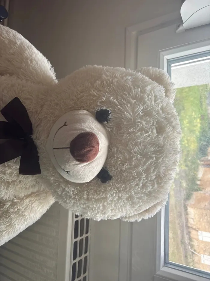 Peluche - photo numéro 2