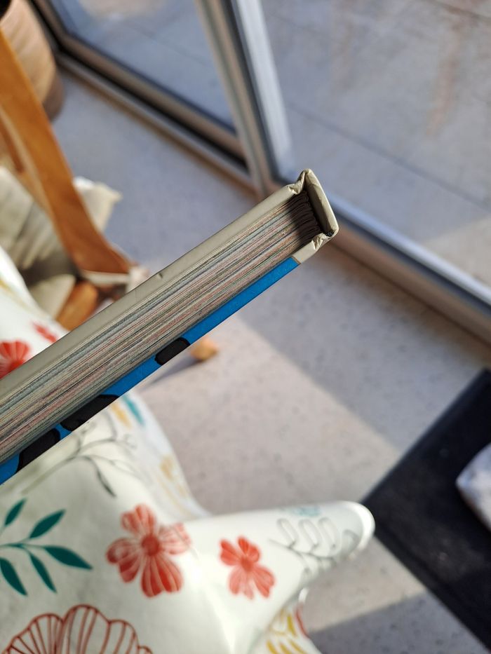 Les 101 dalmatiens - photo numéro 3