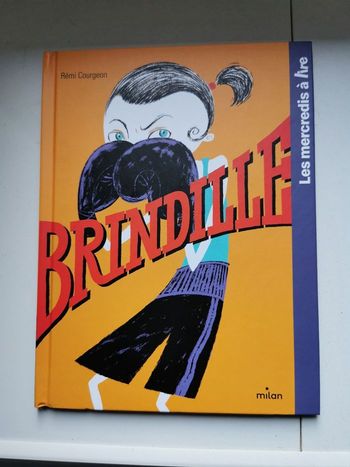 Livre brindille de remi courgeon