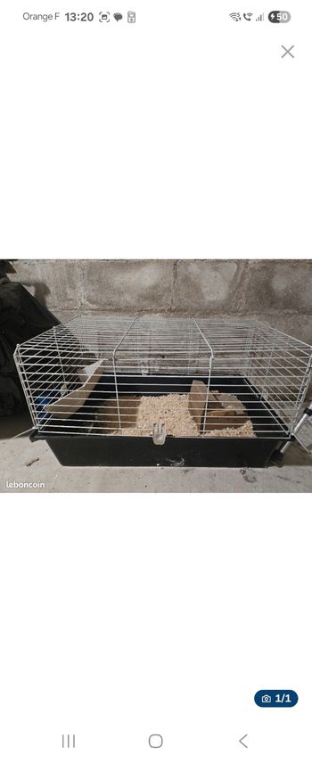 Cage animal