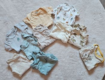 Lots bodies