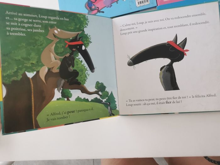 Lot de 7 livres Le loup edition Auzou - photo numéro 4