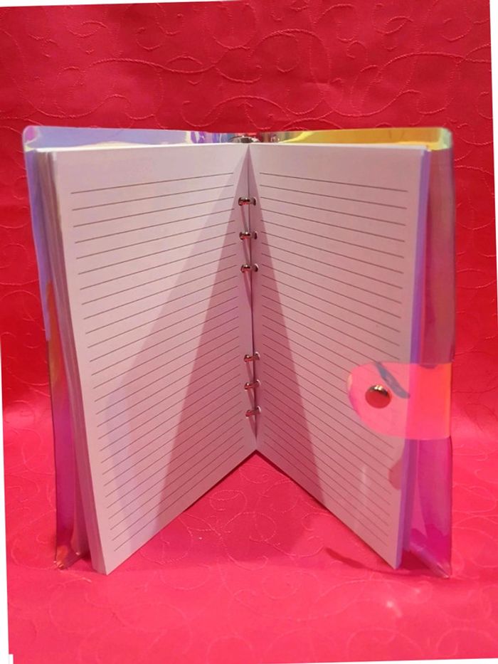 Cahier à anneaux - photo numéro 5