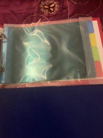 Lot de 2 classeur pour fiche bristol