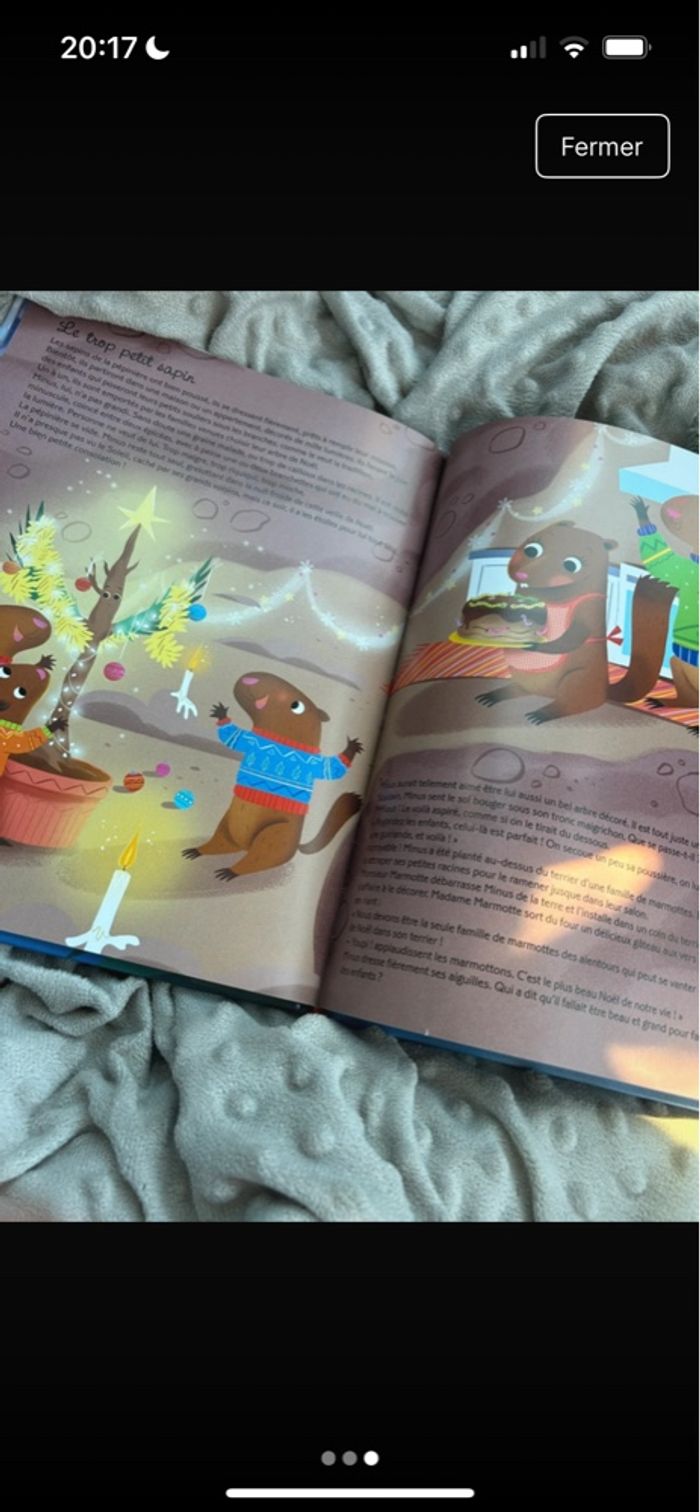 mes 12 histoires de Noël🎄🤶🏻 - photo numéro 2