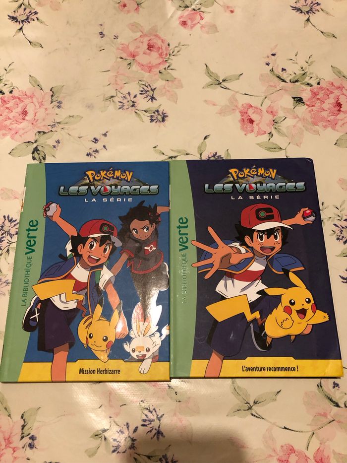 Livre Pokémon - photo numéro 6