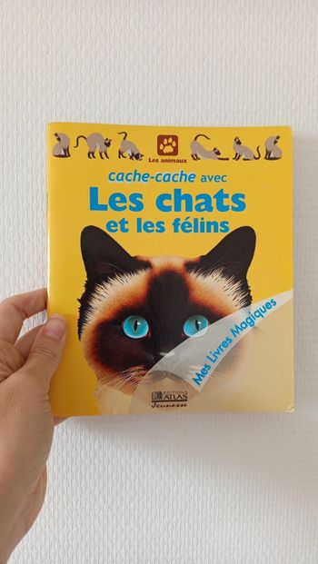 Livre interactif 🔸 les chats