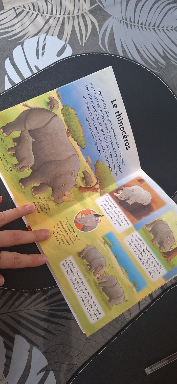 Livre la savane - photo numéro 3