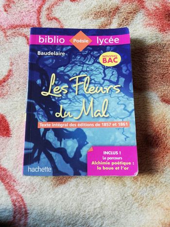 Les fleurs du mal