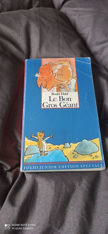Livre le bon gros geant de Roald dahl