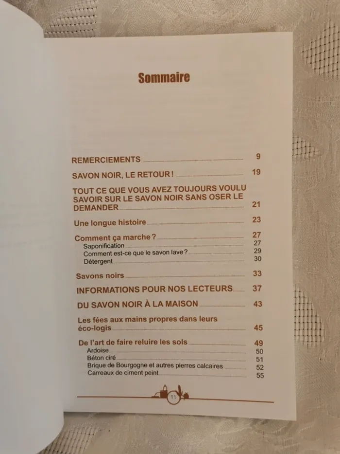 Livre. Salon Noir à tout faire – 1200 astuces naturelles - photo numéro 2