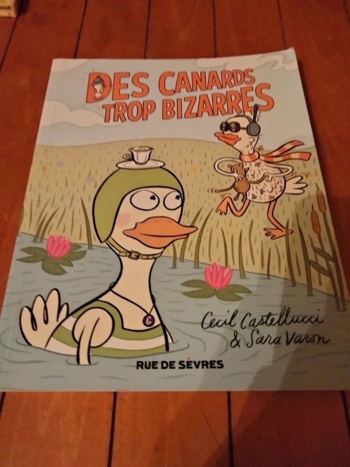 Livre intitulé des canards trop bizarres rue de Sèvres ecoledesmax