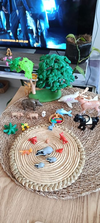 Playmobil animaux féeriques 