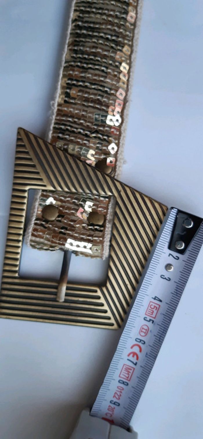 Ceinture dorée - photo numéro 13