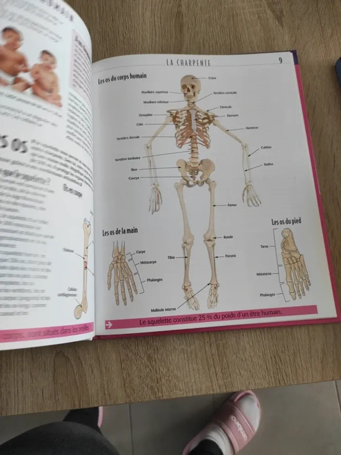 Livre le corps humain - photo numéro 3