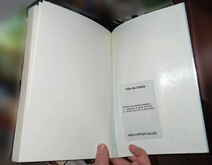 Roman d'amour ''Les débutants '' - photo numéro 7