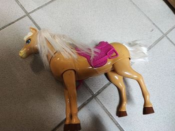 Cheval barbie