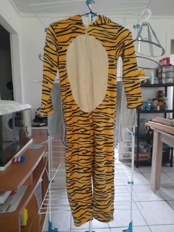 Piloupilou tigre 